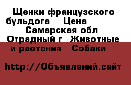 Щенки французского бульдога  › Цена ­ 15 000 - Самарская обл., Отрадный г. Животные и растения » Собаки   
